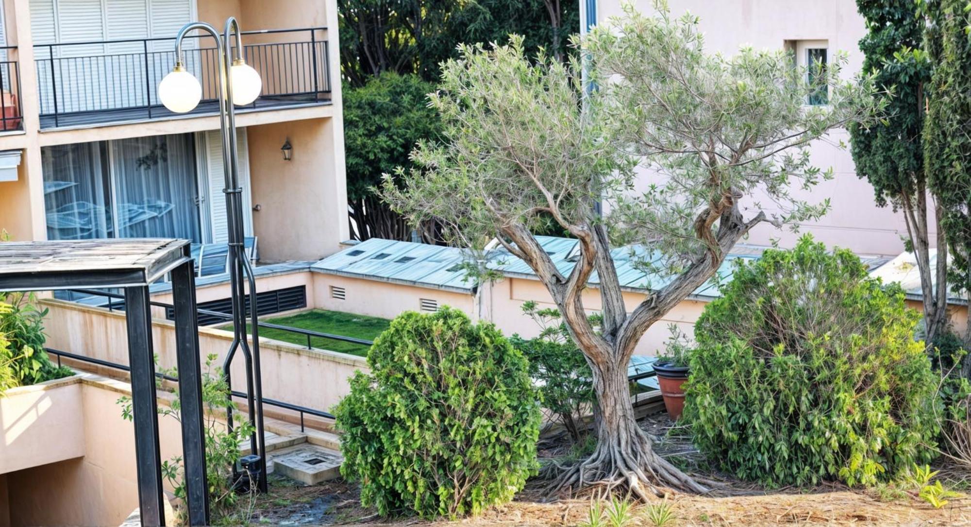 Precioso Apartamento Reformado En 1Ra Linea De Mar Sin Vistas Calella De Palafrugell Værelse billede